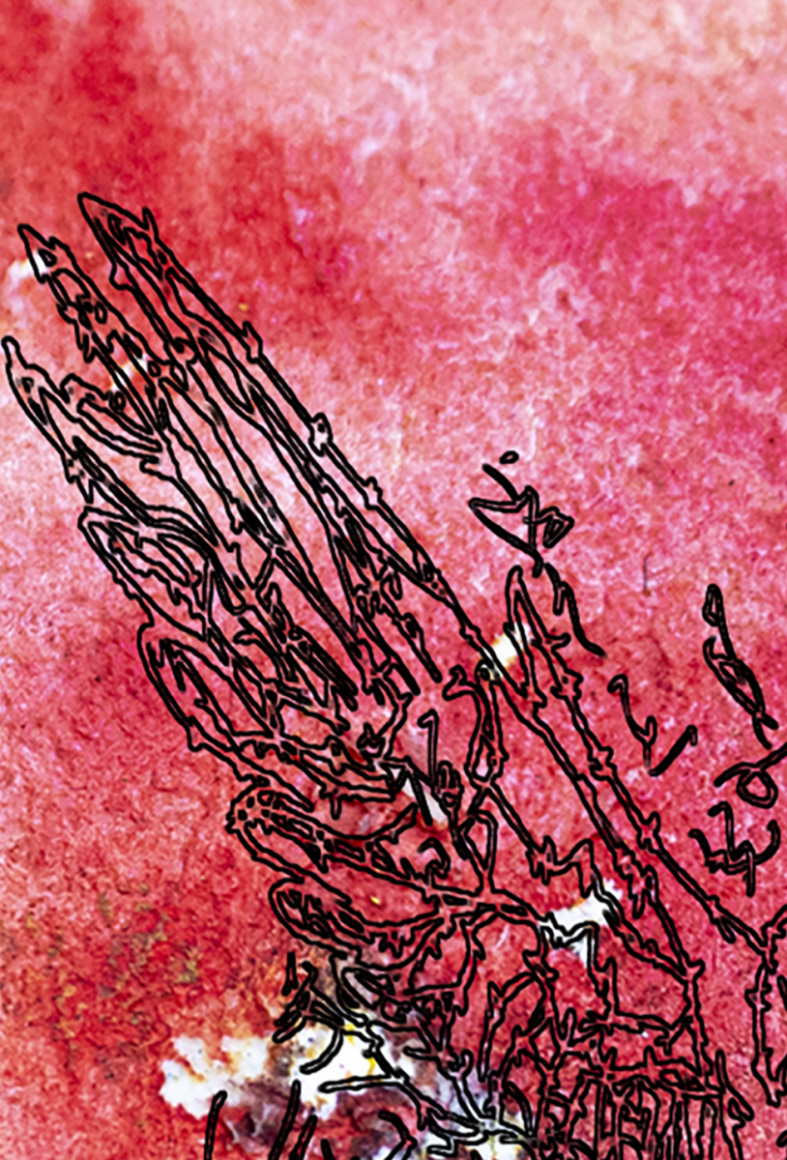 barbed-Wire-Bird-10-2