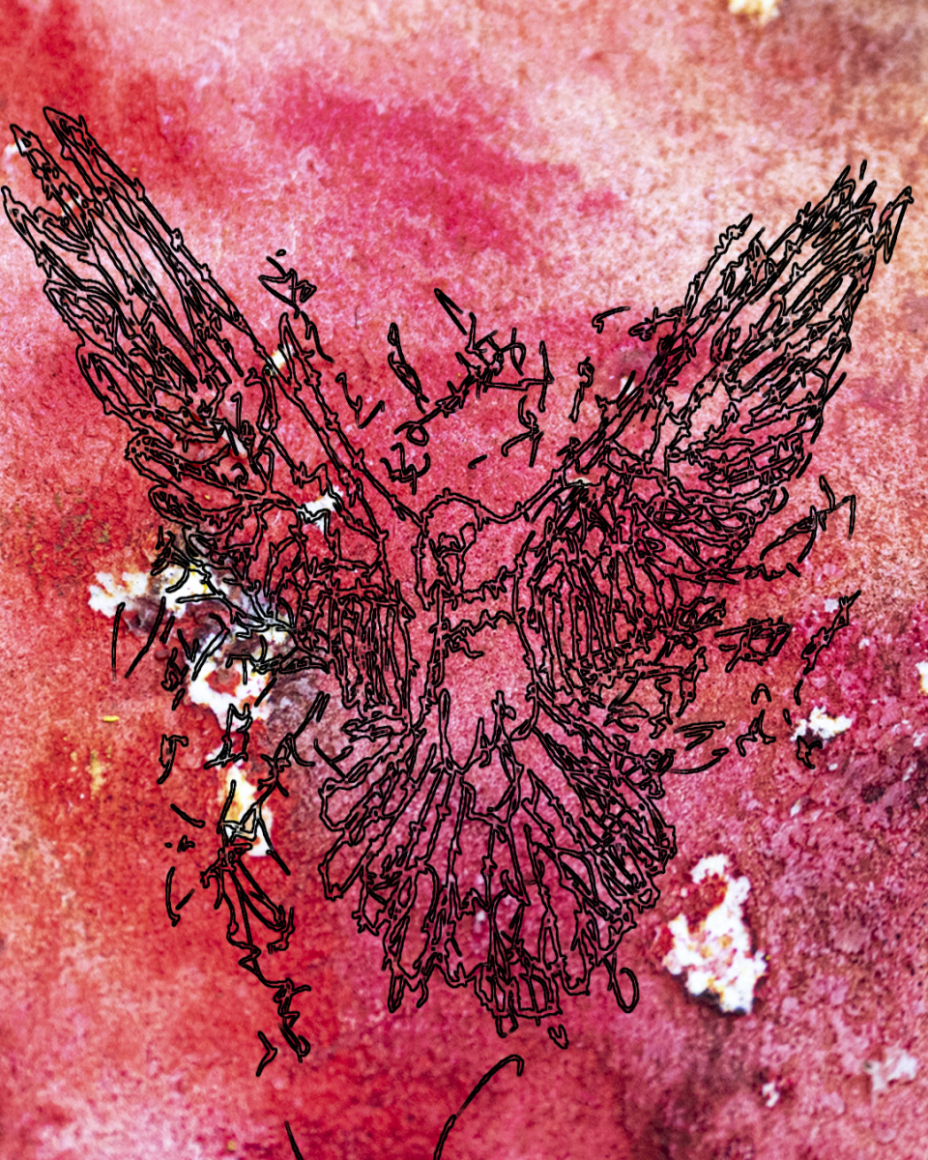 barbed-Wire-Bird-10