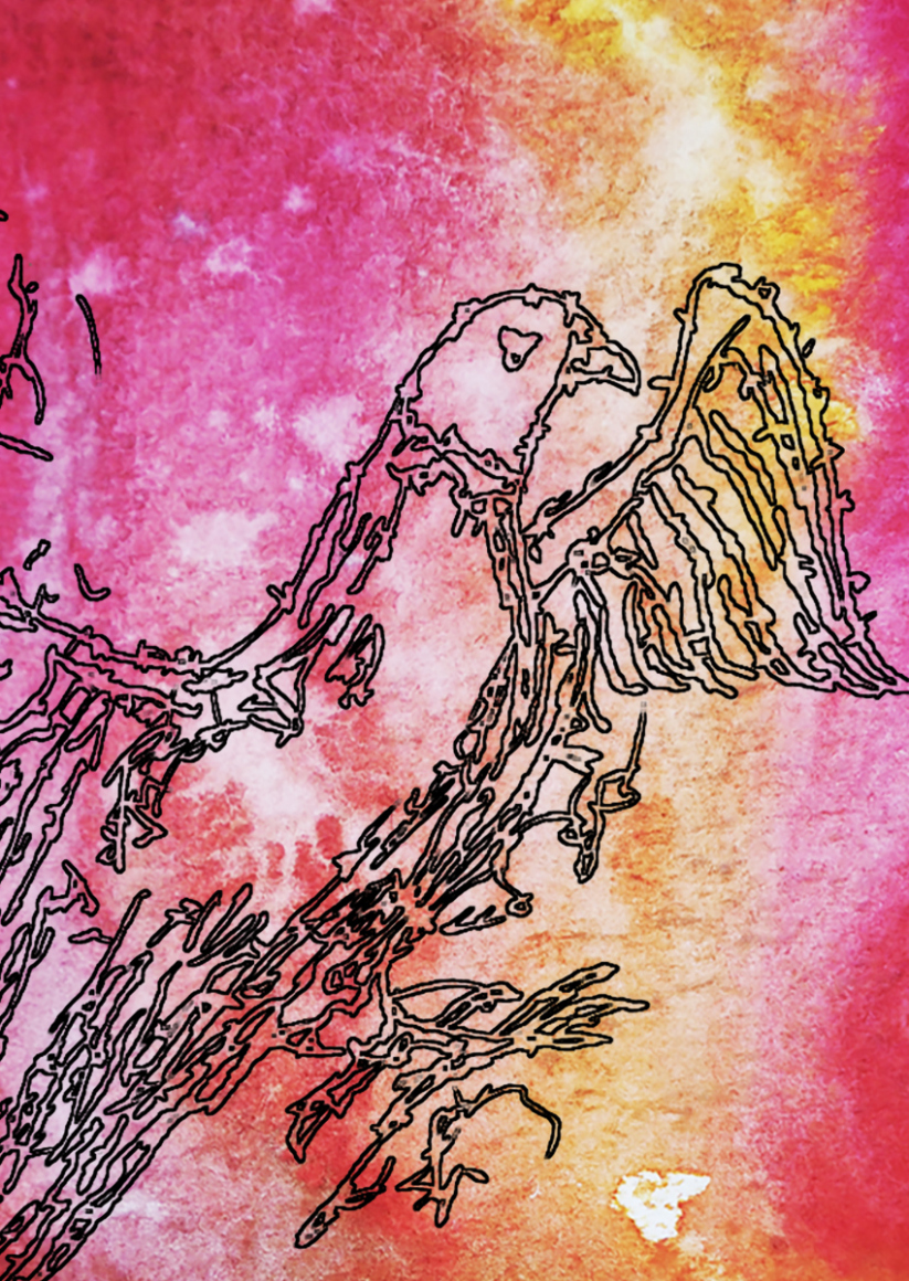 barbed-Wire-Bird-11-3