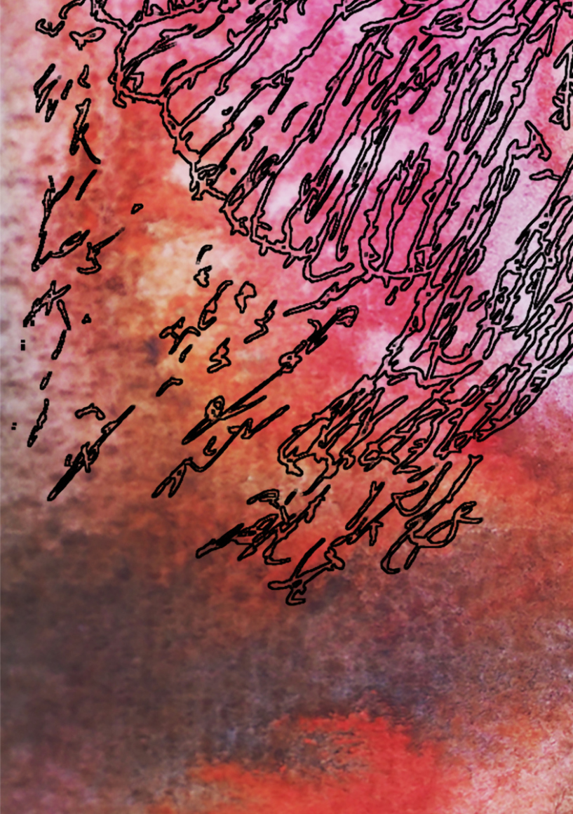 barbed-Wire-Bird-11-4