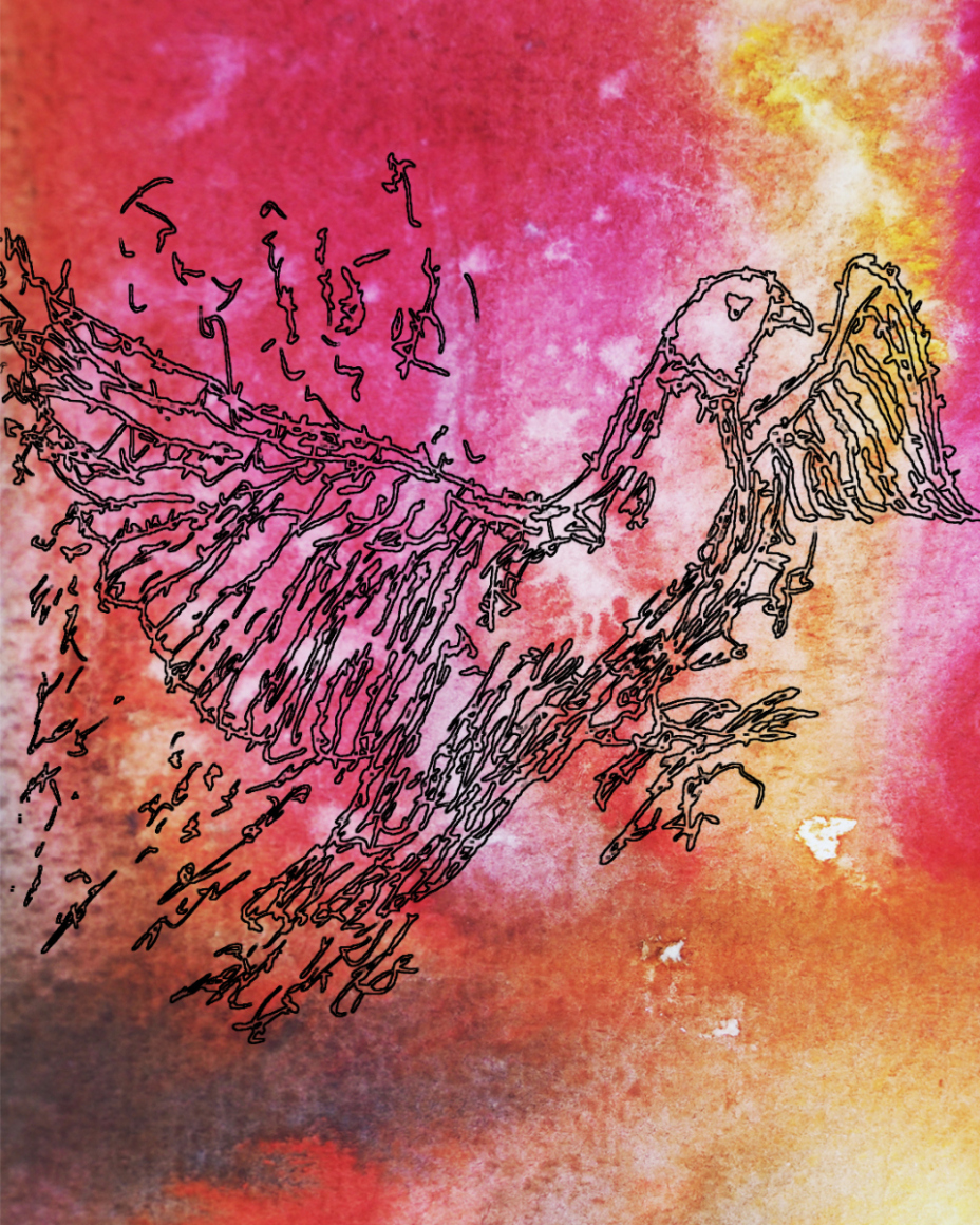 barbed-Wire-Bird-11