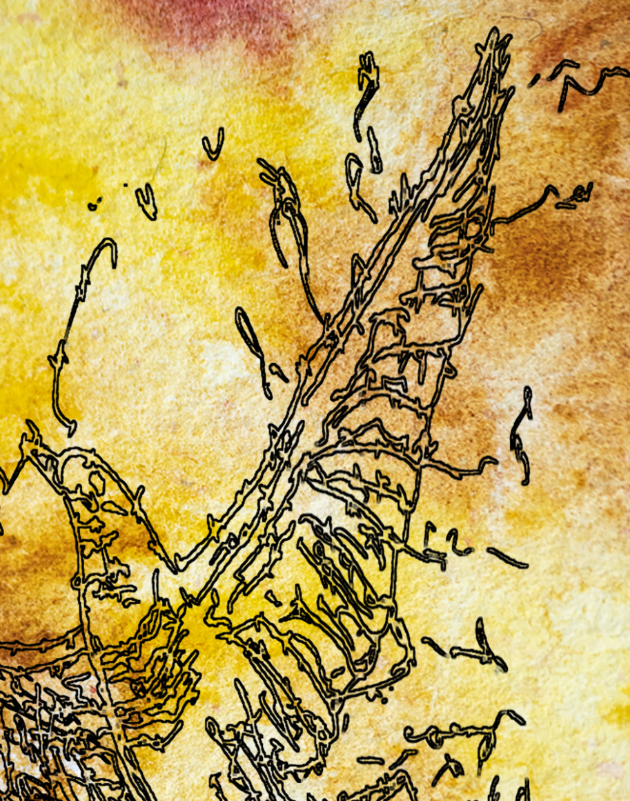 barbed-Wire-Bird-12-3