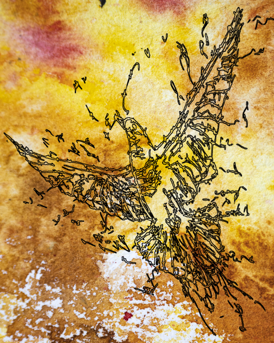 barbed-Wire-Bird-12