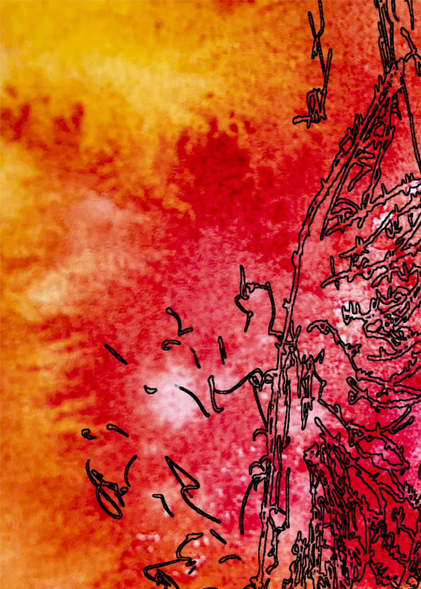 barbed-Wire-Bird-13-2