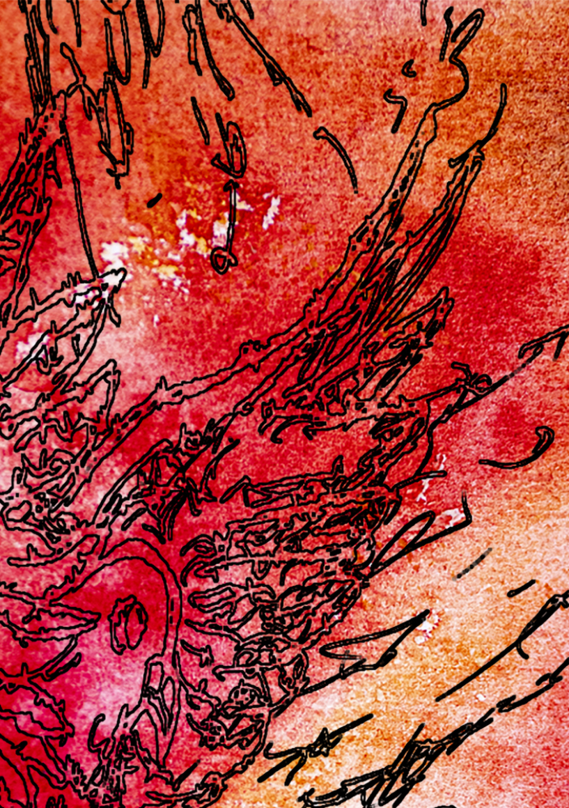 barbed-Wire-Bird-13-3