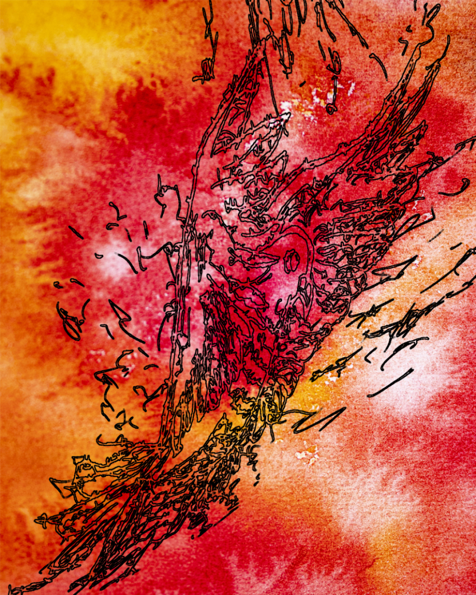 barbed-Wire-Bird-13