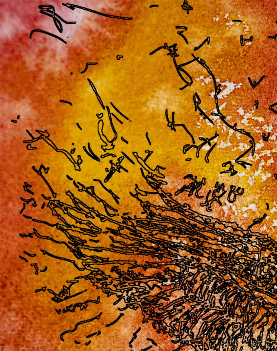 barbed-Wire-Bird-14-2