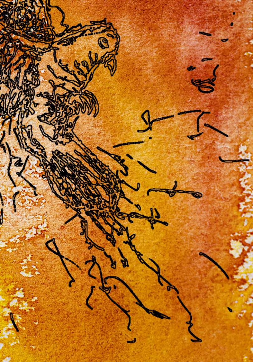 barbed-Wire-Bird-14-5