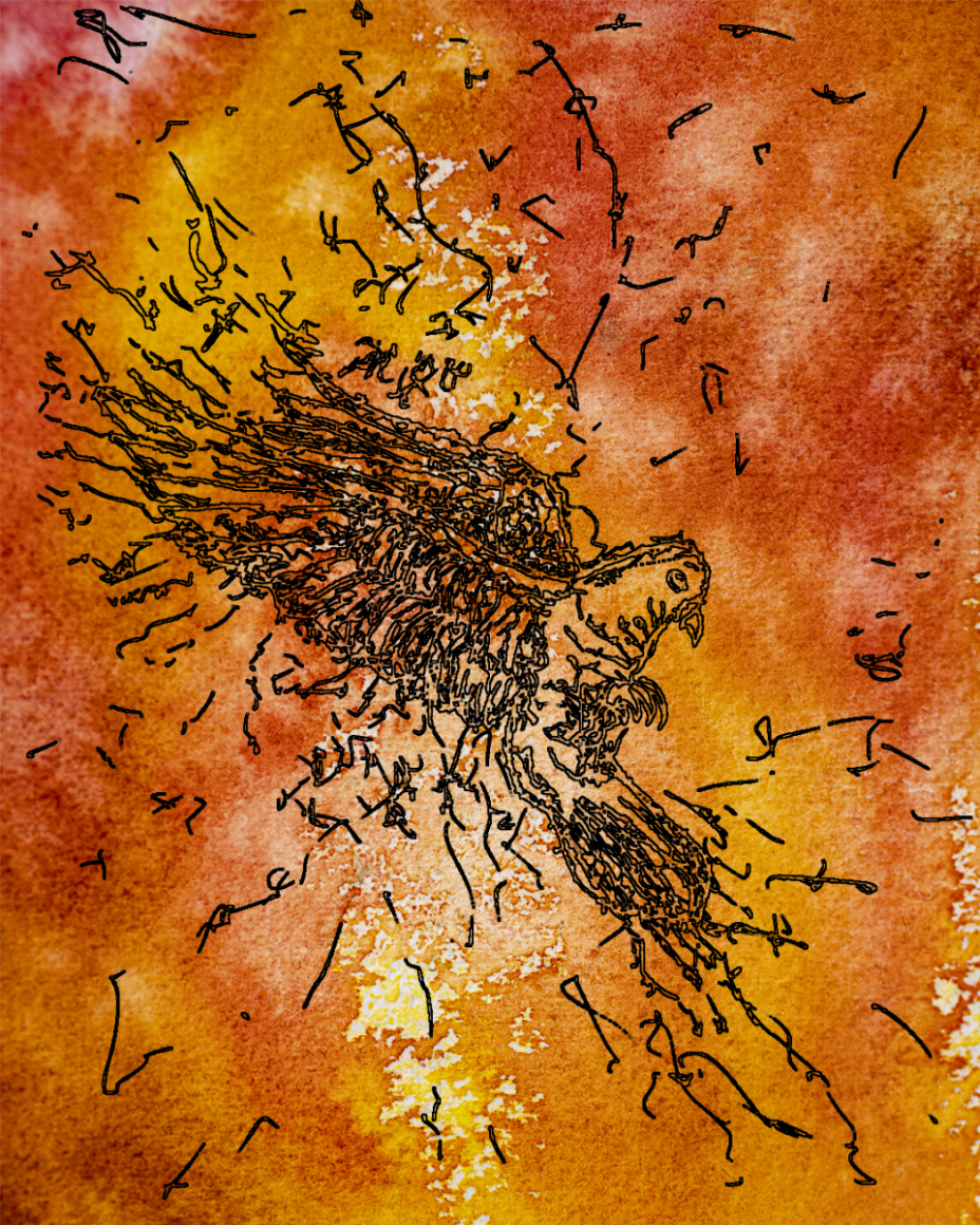 barbed-Wire-Bird-14