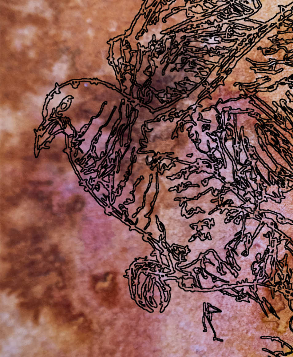 barbed-Wire-Bird-15-4