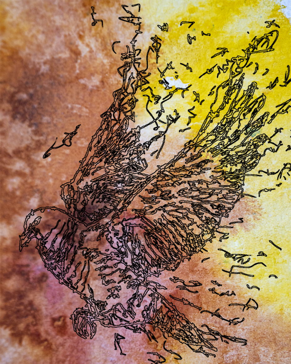 barbed-Wire-Bird-15