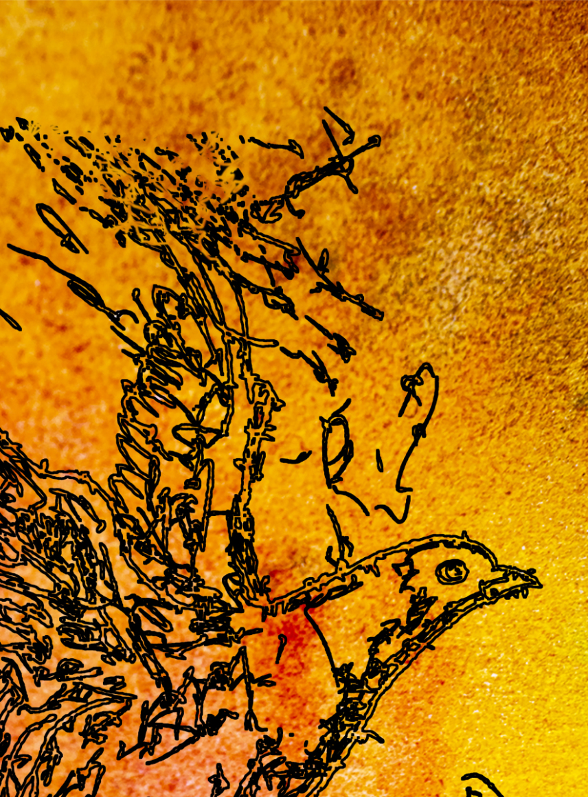 barbed-Wire-Bird-16-3