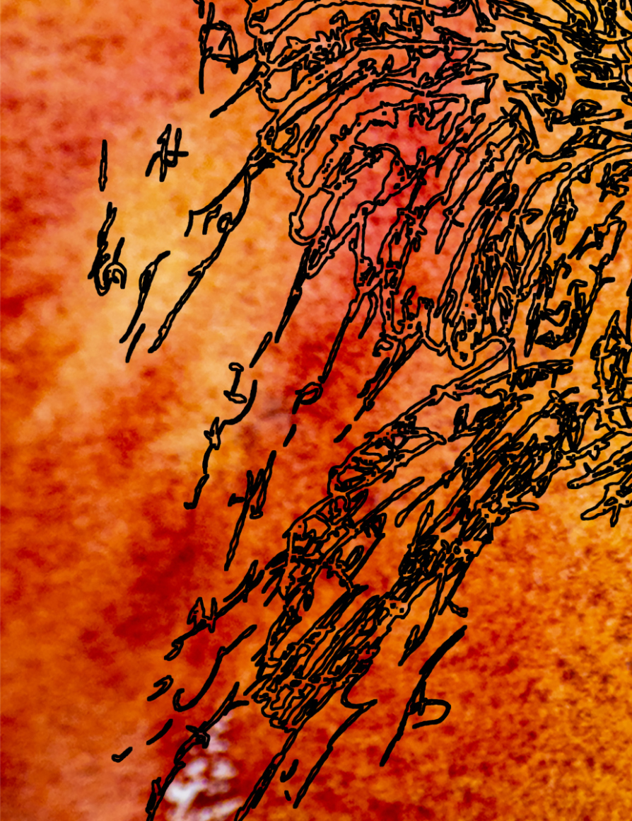 barbed-Wire-Bird-16-4