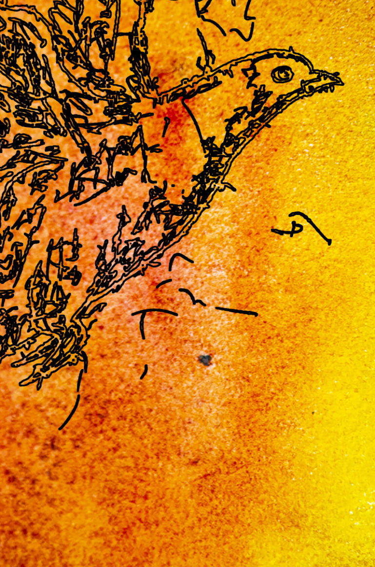 barbed-Wire-Bird-16-5