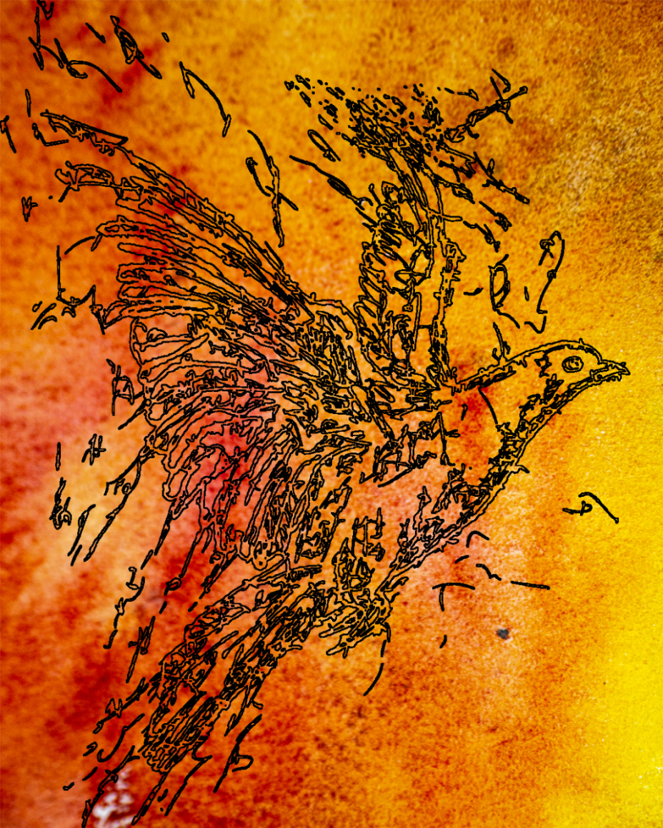 barbed-Wire-Bird-16