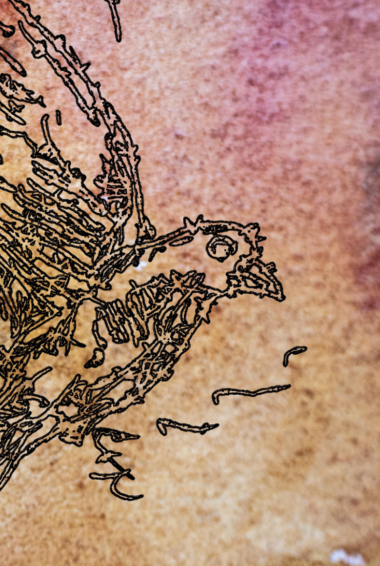 barbed-Wire-Bird-17-3