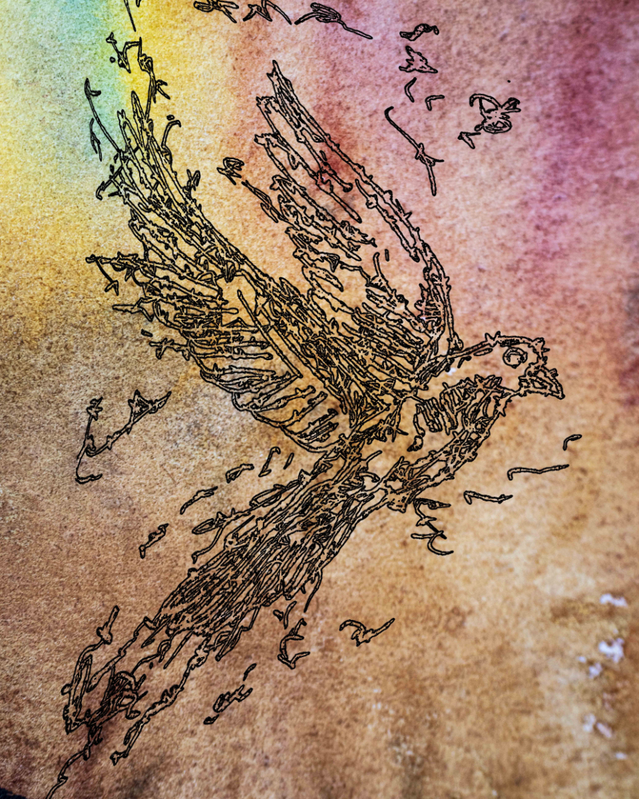 barbed-Wire-Bird-17