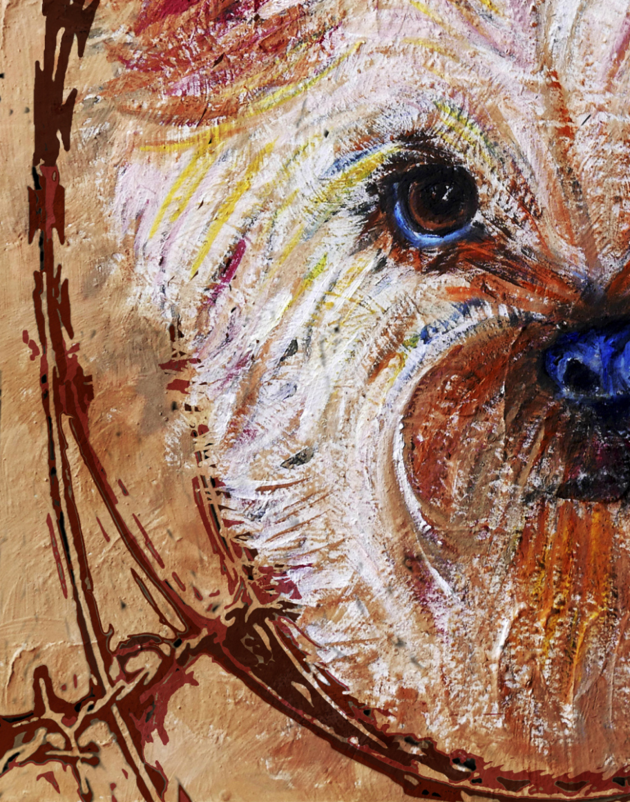YORKY-BARBED-WIRE-DETAIL-2