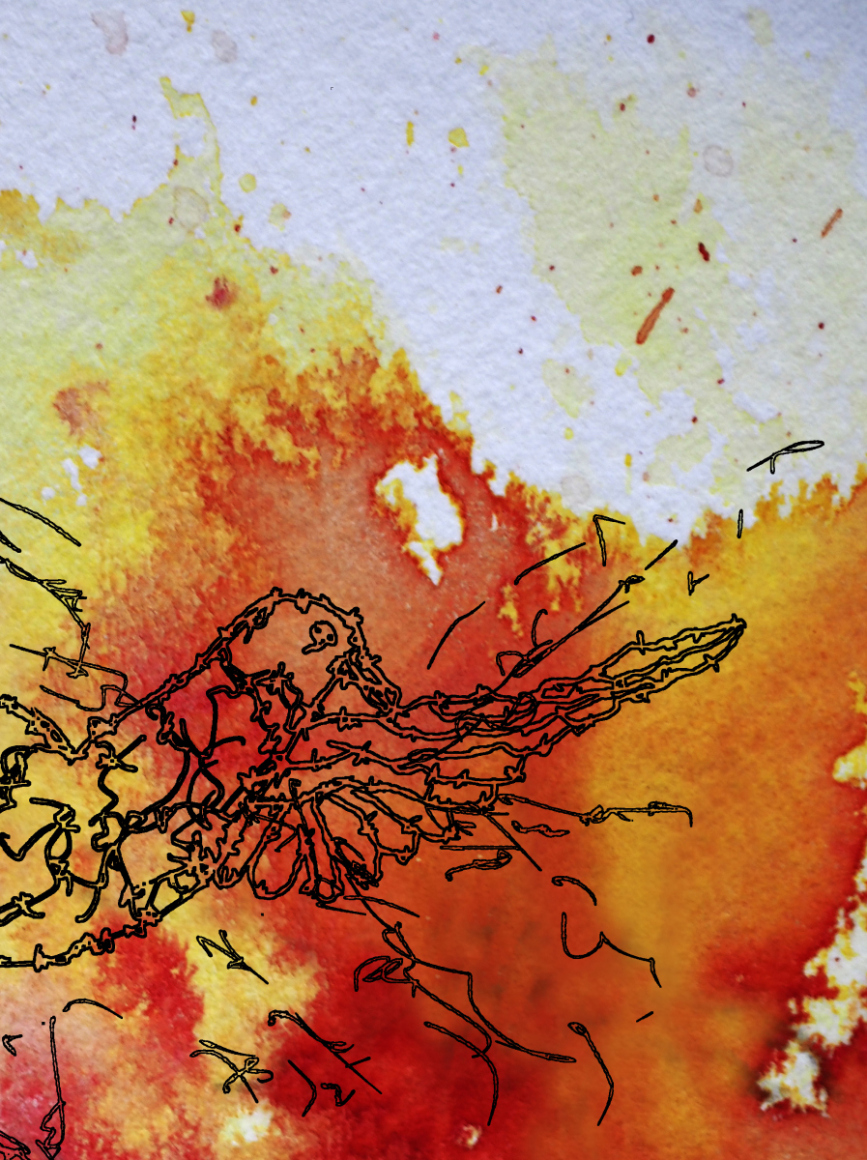 BARBER WIRE BIRD -8