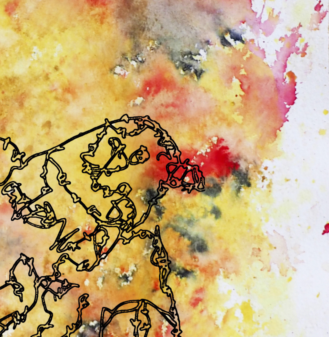 Barbed-Wire-Bird-3.2