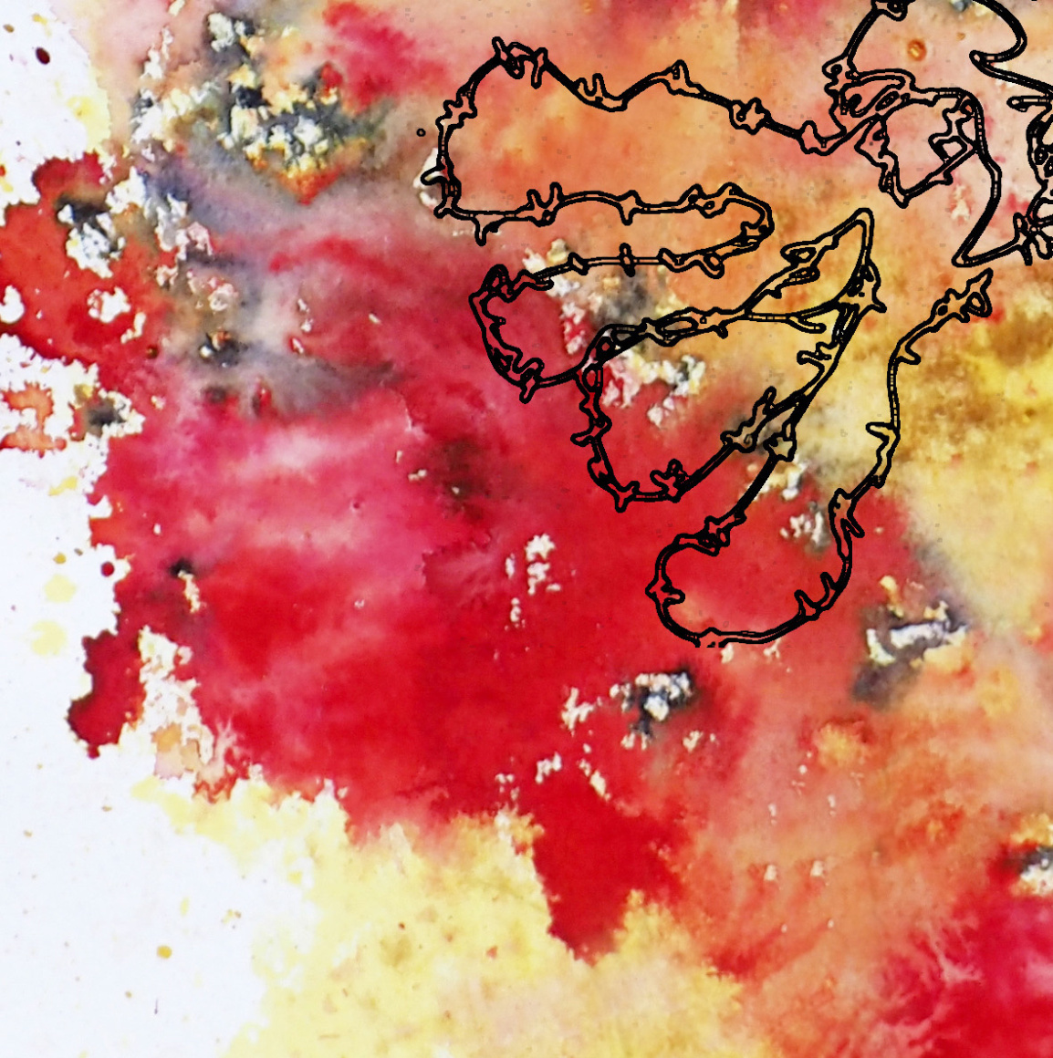 Barbed-Wire-Bird-3.3