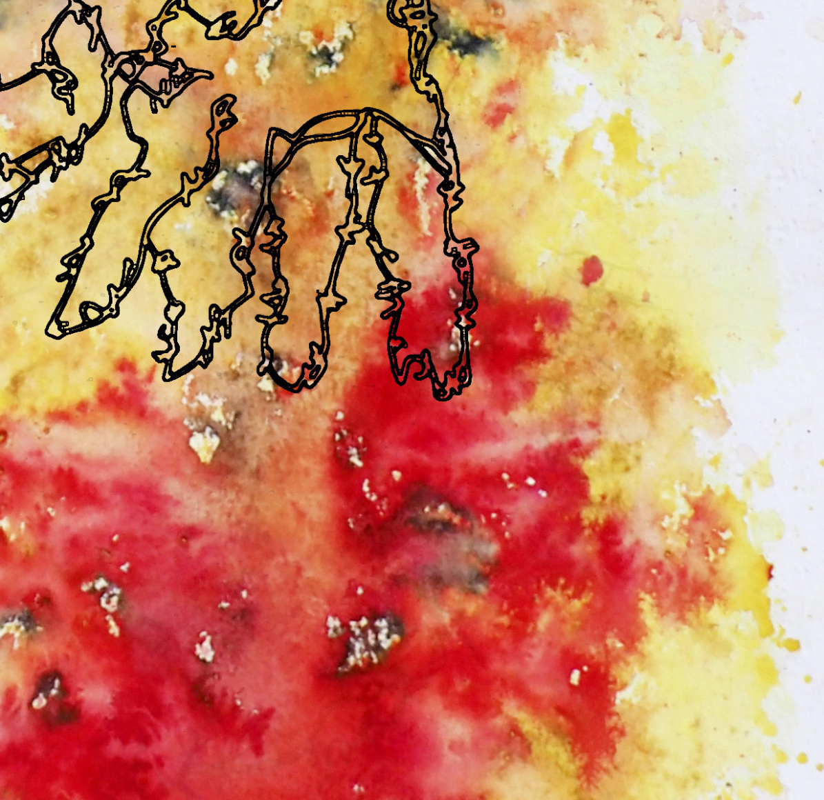 Barbed-Wire-Bird-3.4