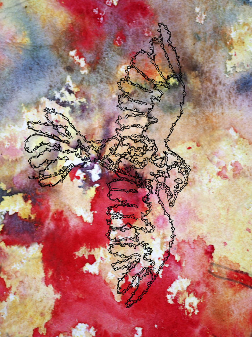 Barbed-Wire-Bird-3