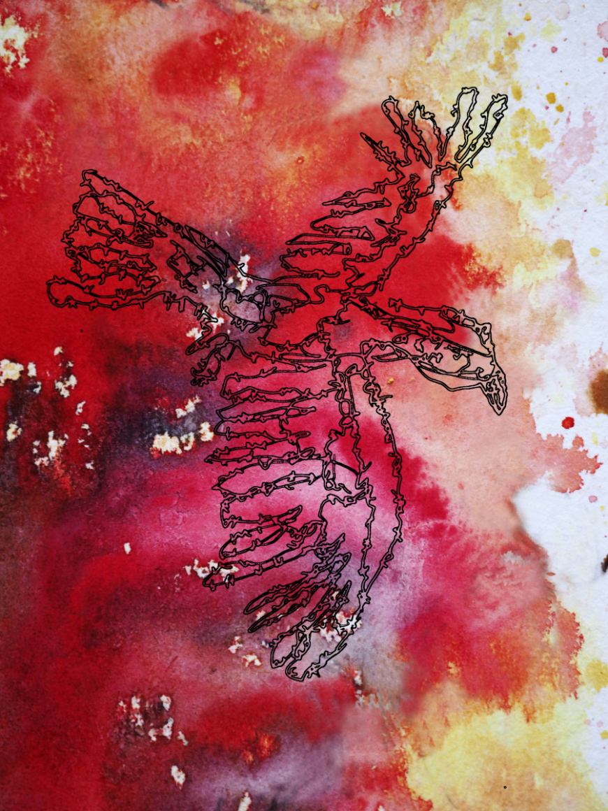 Barbed-Wire-Bird-4