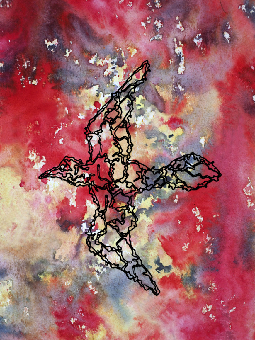 Barbed-Wire-Bird-5