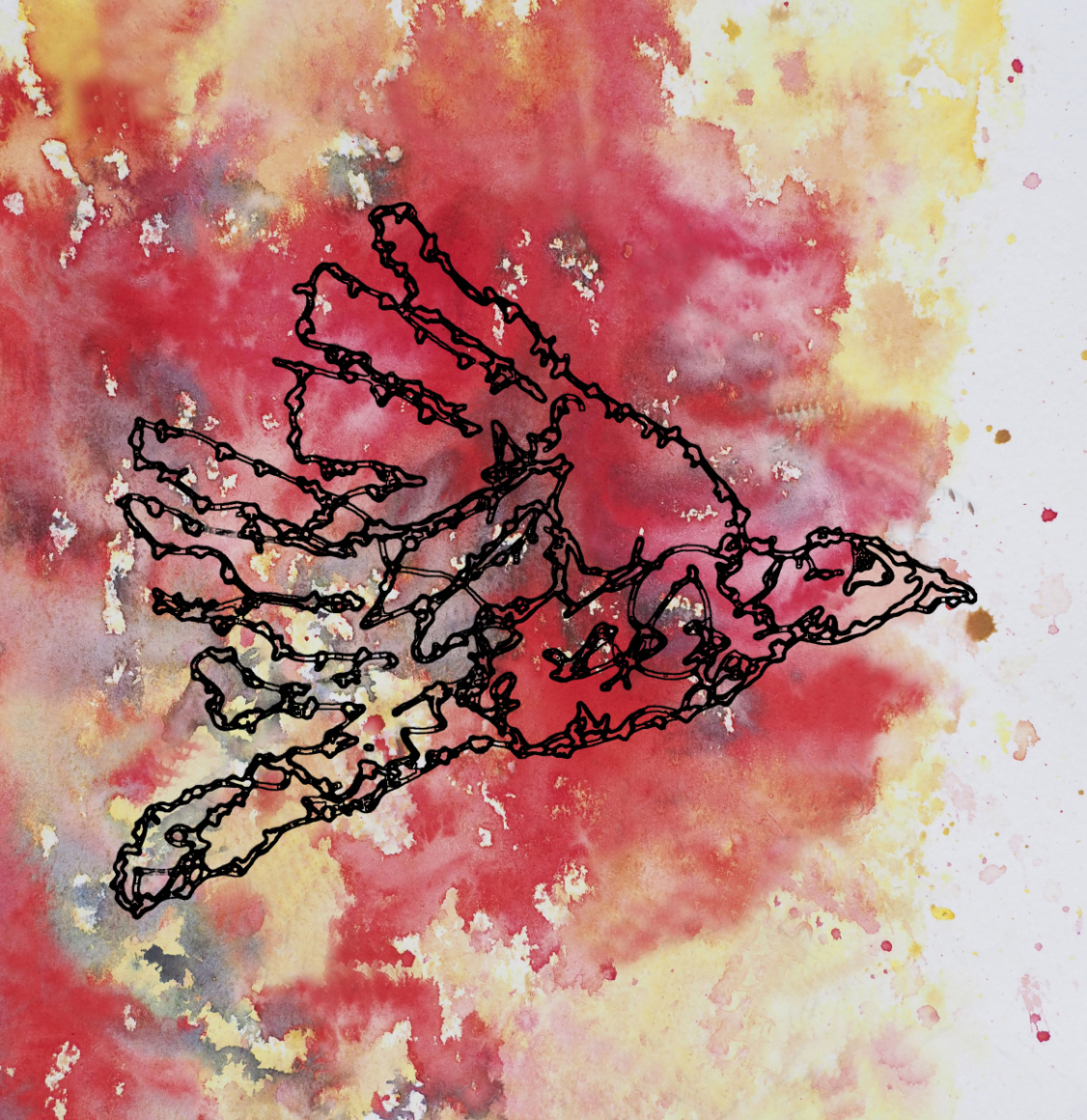 Barbed-Wire-Bird-7
