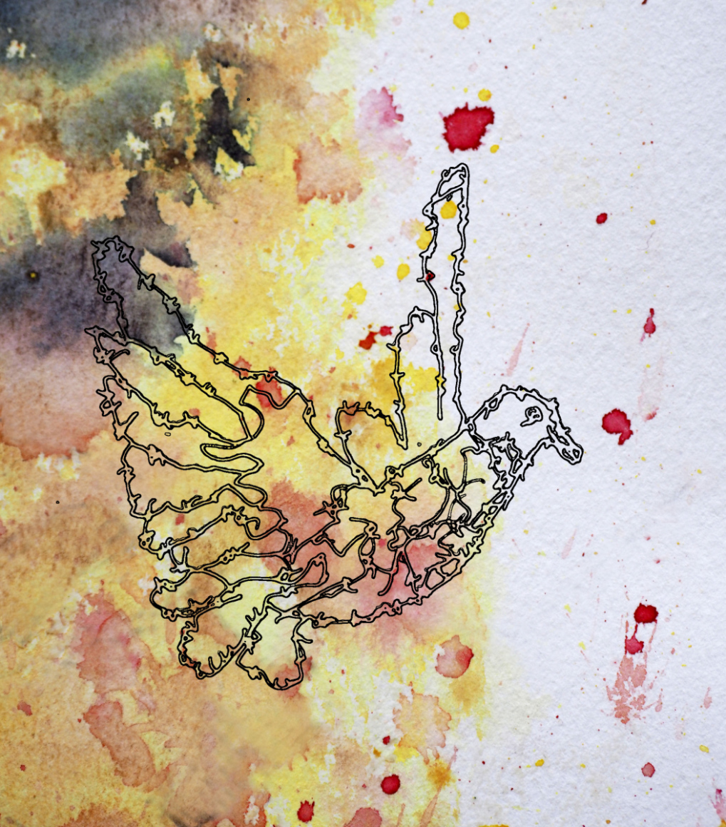 Barbed-Wire-Bird-1