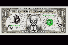 DOLAR-BIDEN-BTC-4